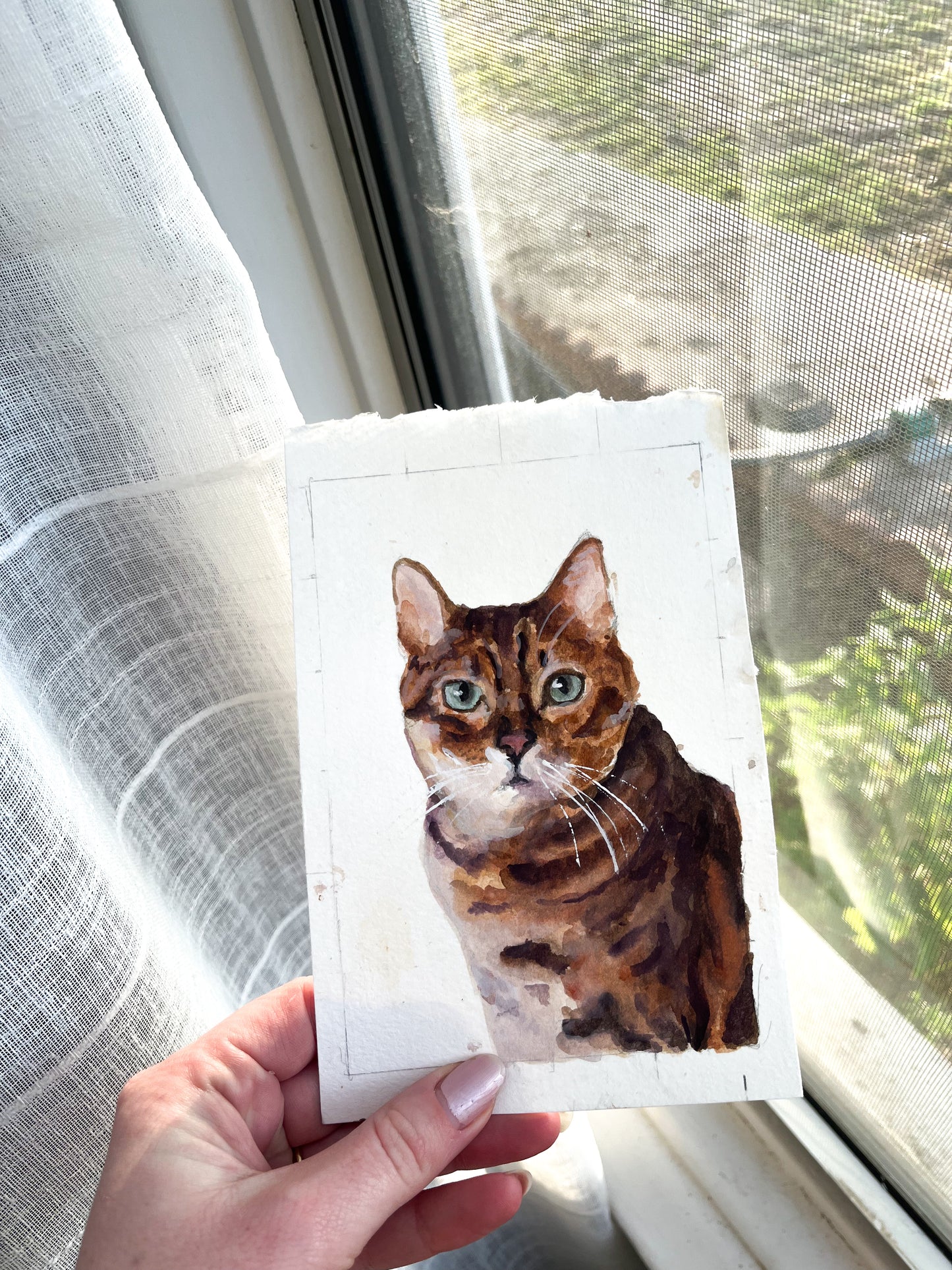 5x7 Single Pet Portrait