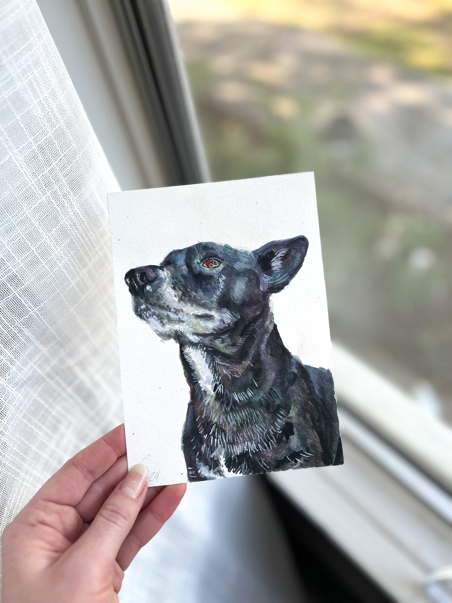 5x7 Single Pet Portrait