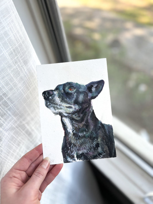 5x7 Single Pet Portrait