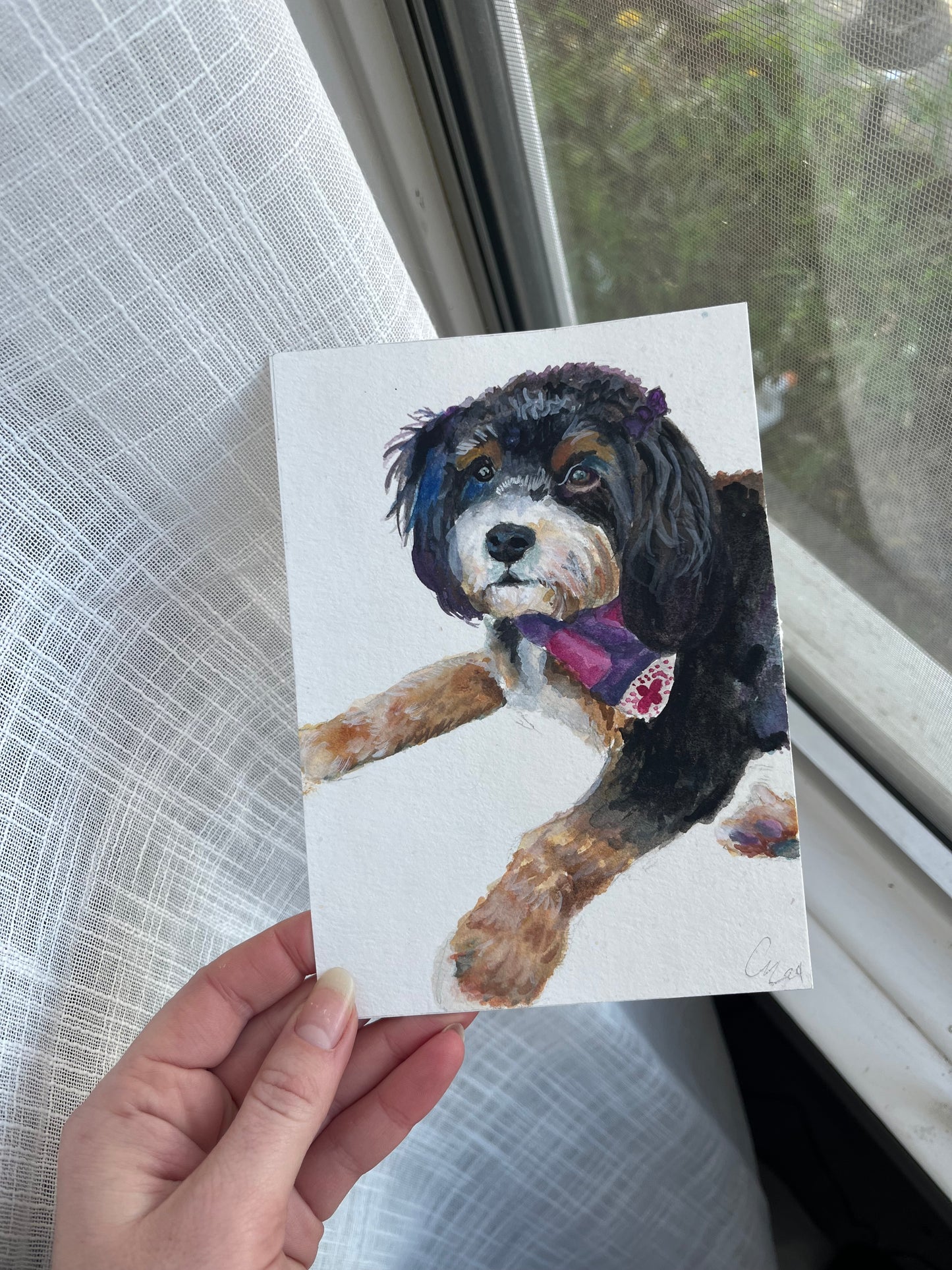 5x7 Single Pet Portrait