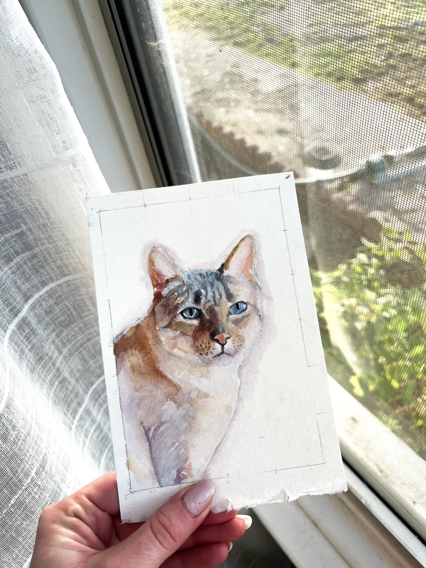 5x7 Single Pet Portrait