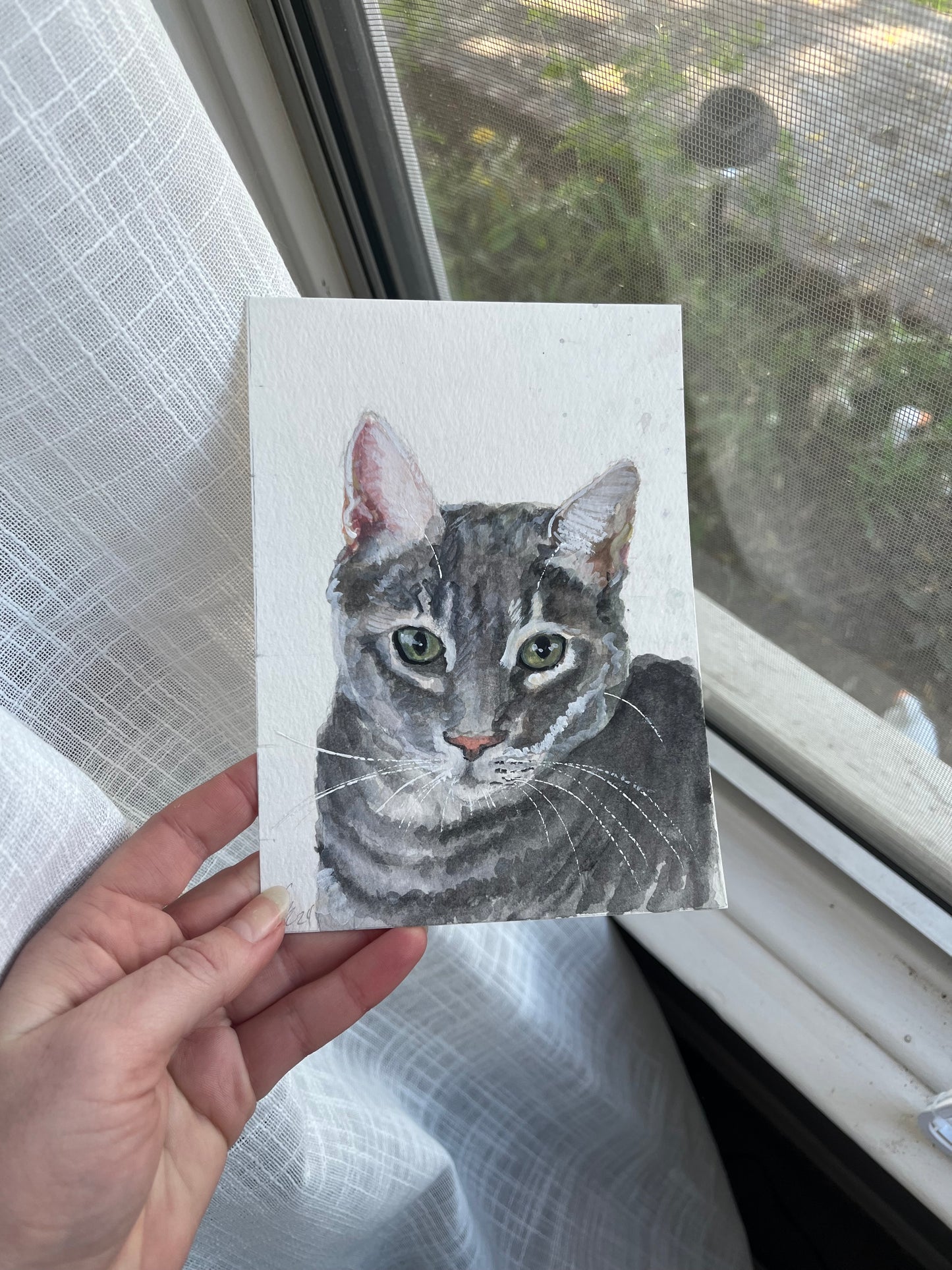 5x7 Single Pet Portrait