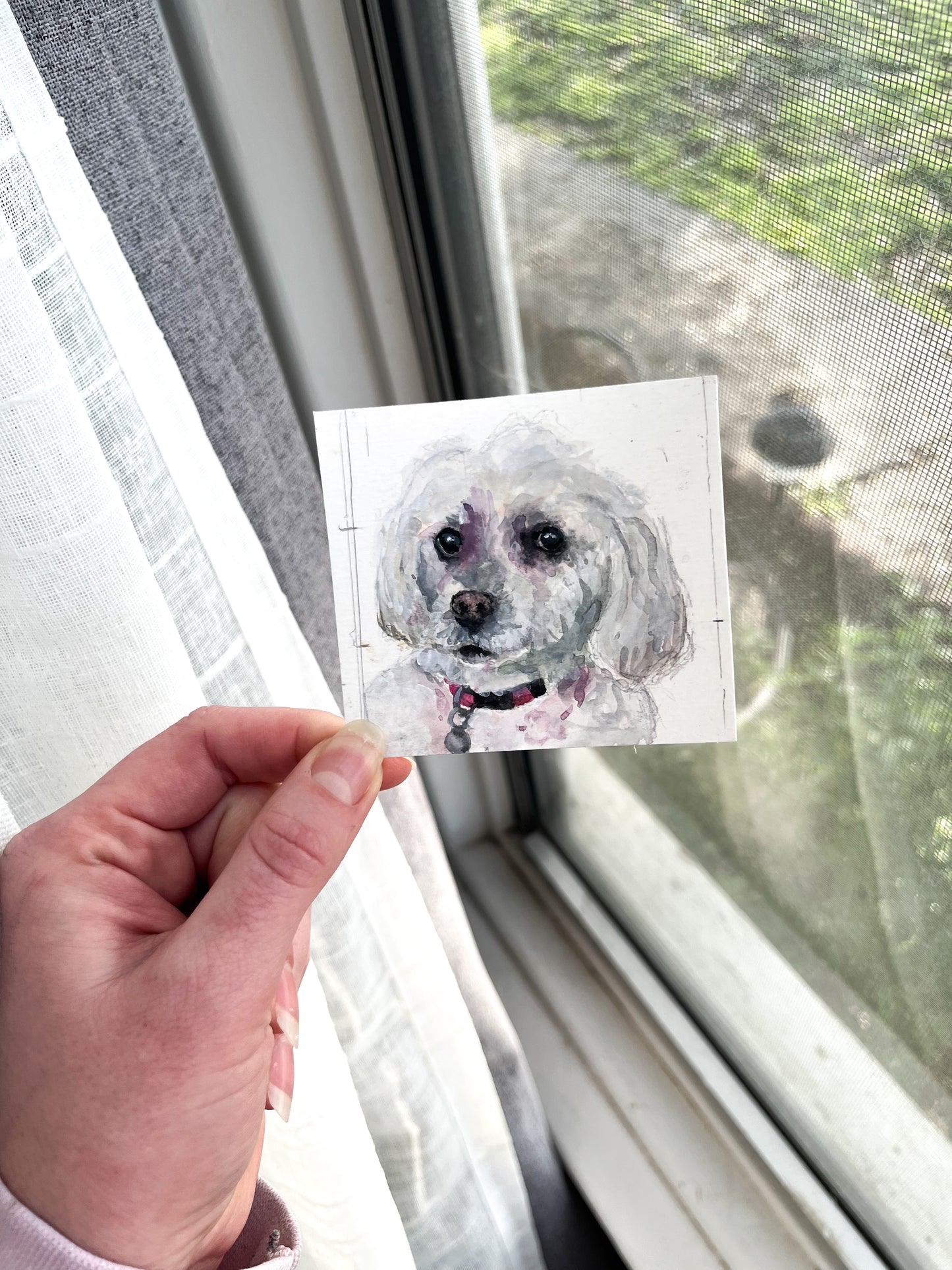 3x3 Single Watercolor Pet Portrait
